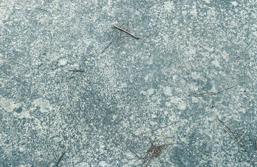Dark grey black  background or texture,Cement and Concrete .rough  black and white background