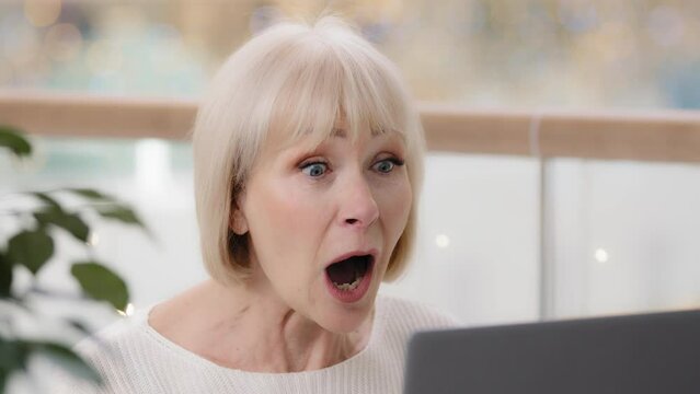 Mature emotional shocked businesswoman amazed surprised woman looking at laptop screen gets unexpected notification reads email with open mouth good news gets excited says wow feels joyful excitement