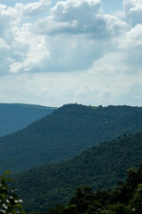 Beautiful nature with trees and bright sky, good atmosphere.