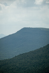 Beautiful nature with trees and bright sky, good atmosphere.