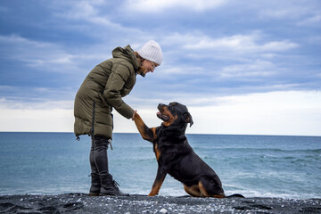 A dog in a collar sits on the beach and gives a paw to a woman in cold weather