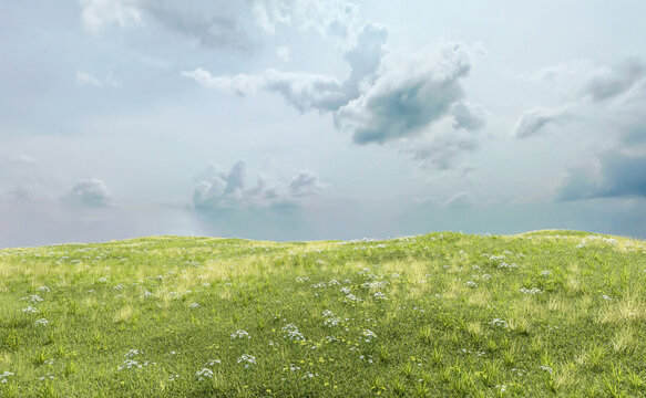Rolling landscape with grassland and daisies under a cloudy sky. 3D render.