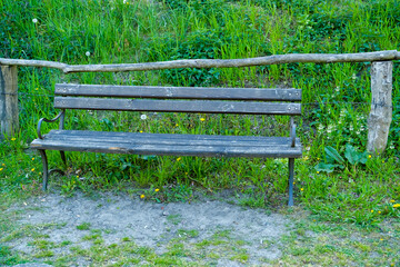 Bench in the summer park with old trees and footpath