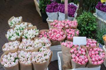 Photos of a trip through different European cities, from a tourist's point of view. In the photos you can see famous streets and places in Venice, Madrid, Amsterdam, Florence, Prague, Munich, Berlin, 