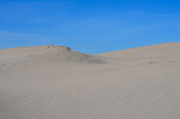 Fototapeta na wymiar Slovinski national park, Leba sand dune on the Baltic coast, Poland, Europe