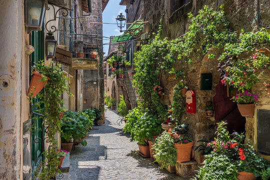 Fototapeta The beautiful little town of Capranica, in the Viterbo Province. Lazio, central Italy.