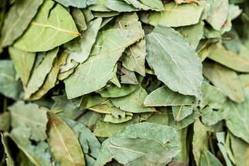 bay leaf laurel leaves