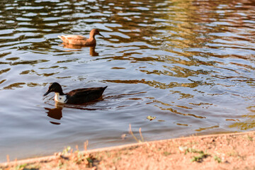 Photos of a trip through different European cities, from a tourist's point of view. In the photos you can see famous streets and places in Venice, Madrid, Amsterdam, Florence, Prague, Munich, Berlin, 