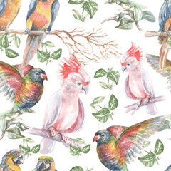 
Parrot tropical birds watercolor illustration hand drawn jungle twigs leaves bright colorful birds macaw cockatoo nature
