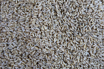 oat rice coarse grains