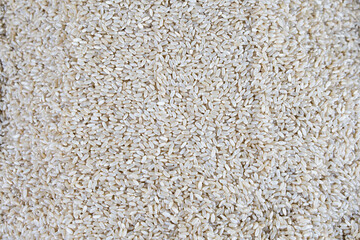 brown rice food grain