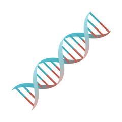 Cartoon DNA spiral genes vector isolated object illustration