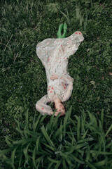 Beautiful girl in a summer dress posing against a background of flowers