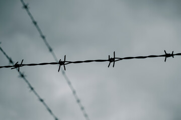 Silhouette of barbwire against cloudy dark sky. 