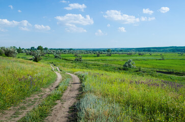 Fototapeta na wymiar Landscape with a rural road in the meadows