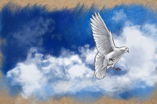 white dove flying in the sky crayon on kraft paper digital art