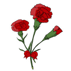 bouquet of three red carnations tied with a bow
