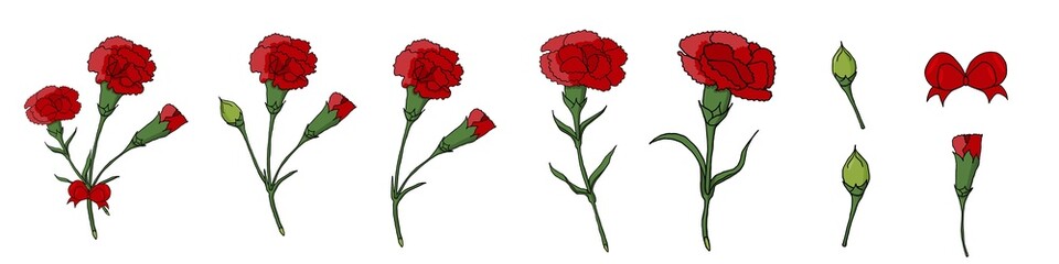 a set of different red carnations with a bud and a bow