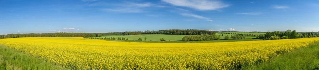 Poster panorama view of landscape with yellow rape field, meadows and forests © Petr