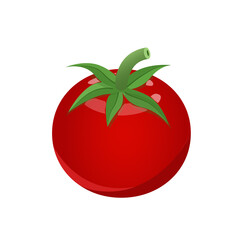 Red tomato, flat style vector illustration isolated on white background