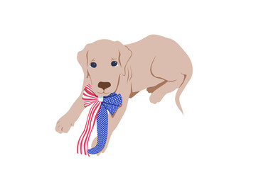 Independence Day. Adorable Labrador patriot holds the USA. Hand drawn vector illustration. Congratulations to family loved ones, friends, and colleagues