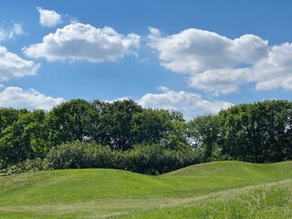 Beautiful landscape with blue sky clouds and green grass hills near grove.