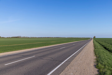 an asphalt road along which green plants