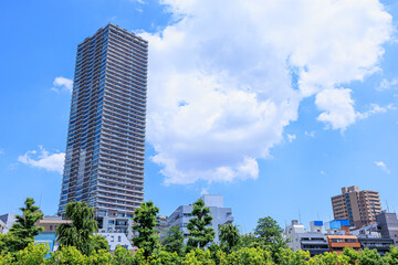 豊島区立南池袋公園から見上げた青空と高層マンション