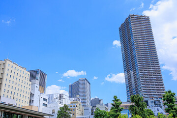 豊島区立南池袋公園から見上げた青空と高層マンション