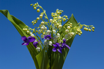 Obraz premium flowers of white lilies of the valley and violets