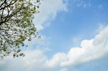 blue sky with clouds