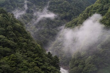 Fototapeta na wymiar 雨の日の山と霧