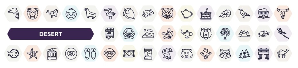 desert outline icons set. thin line icons such as dolphin, pelican, picnic basket, food stand, baboon, puffer fish, cable car, chimpanzee, trap icon.