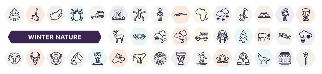 winter nature outline icons set. thin line icons such as pine tree, waterfall, snowy, reindeer, walrus, hedgehog, gorilla, avalanche, lotus icon.