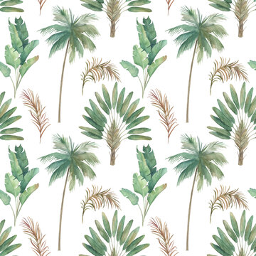 Watercolor jungle seamless pattern. Tropical paradise, palm tree. Hand drawn illustration © natikka