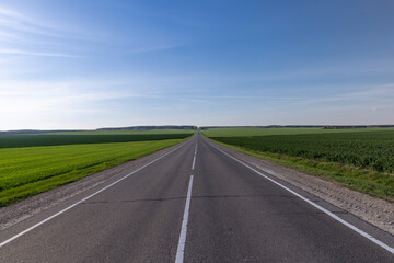an asphalt road along which green plants