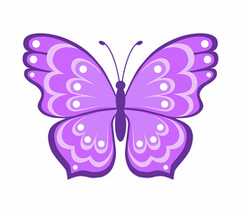 Butterfly. Color vector illustration in flat style. Isolated on white background