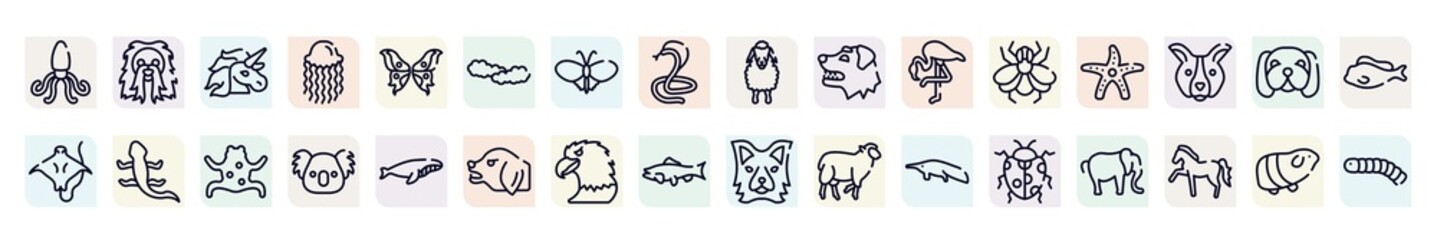 Obraz premium free animals outline icons set. thin line icons such as giant squid, unicorn, cloudy sky, border collie dog head, starfish with dots, curved lizard, koala head, eagle head, spots ladybug