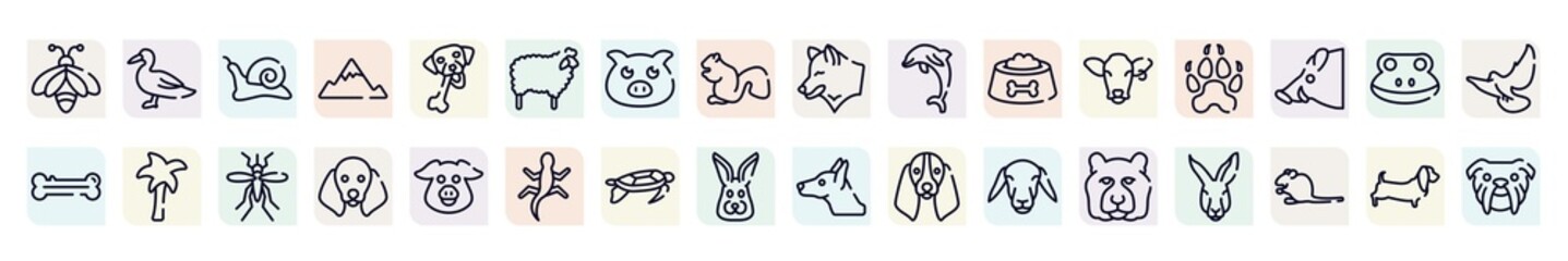 woof woof outline icons set. thin line icons such as big bee, null, sheep with wool, jumping dolphin, canine pawprint, plain palm tree, dog with floppy ears, swimming turtle, tiger head