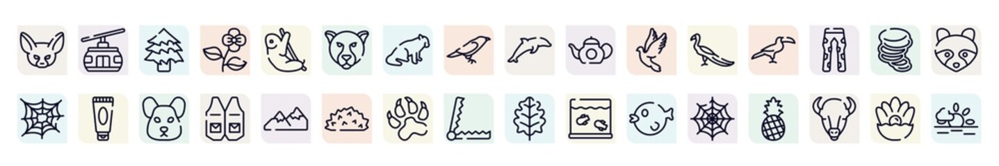 nature outline icons set. thin line icons such as fennec, spruce, jaguar, teapot, toucan, sun cream, waistcoat, pawprints, spider web icon.
