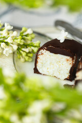 Cut into pieces cottege cheese curd or cheese cake with dark chocolate glaze and white lilac bush