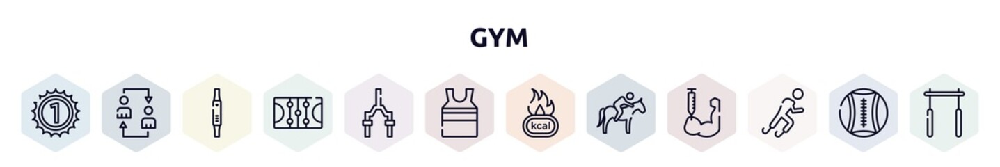 gym outline icons set. thin line icons such as number one, substitution, fitness watch, ice court, bicycle fork, tanktop, calories, horse riding, paralympics icon.