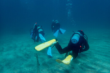 ダイビング・潜航開始