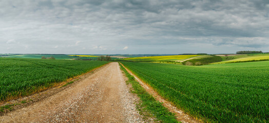 View across wheat field with dirt track under clouded sky on a fine summer moneing in the Wolds near Sledmere, Yorkshire, UK.