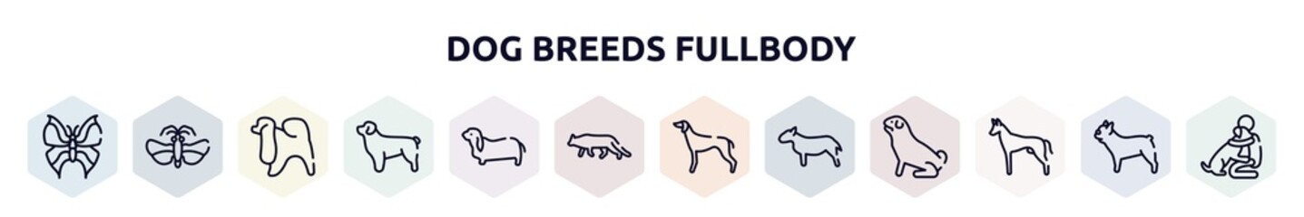 dog breeds fullbody outline icons set. thin line icons such as leaf butterfly, null, japanese chin, newfoundland, bas hound, snowshoe cat, greyhound, bullterrier, pharaoh hound icon.