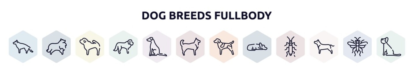 dog breeds fullbody outline icons set. thin line icons such as german sheperd, sheltie, shar pei, st bernard, pointer dog, husky, german shorthaired pointer, sad dog, american staffordshire terrier,