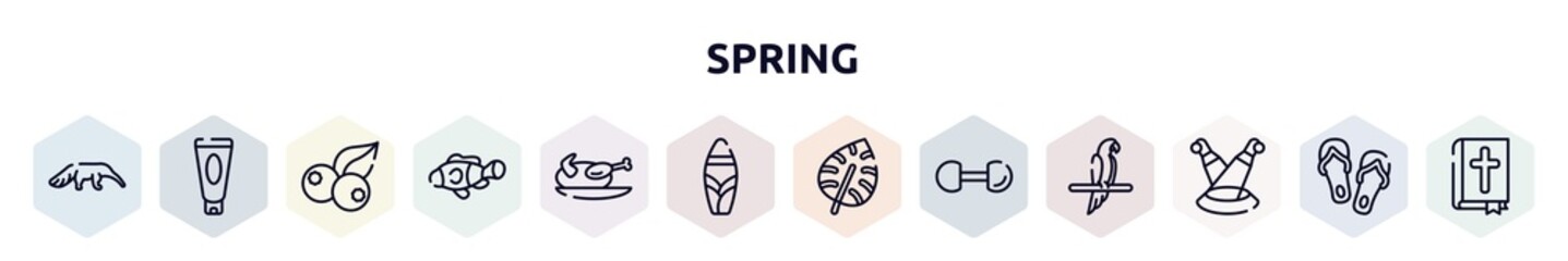 spring outline icons set. thin line icons such as anteater, sun lotion, berries, clown fish, turkey, suroard, monstera leaf, dumbbell, scene icon.