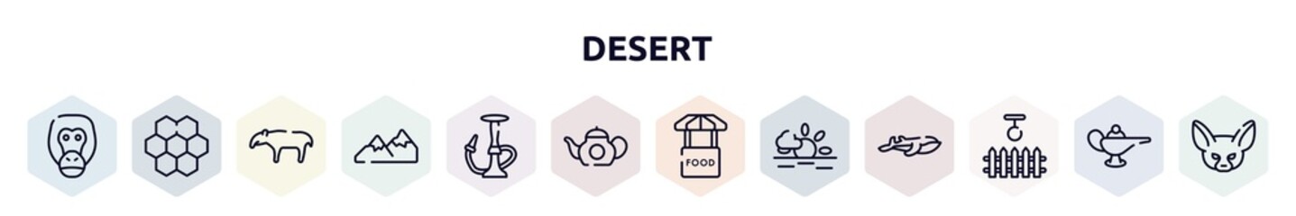 desert outline icons set. thin line icons such as orangutan, moss, tapir, mountains, hookah, teapot, food stand, sun, swing icon.
