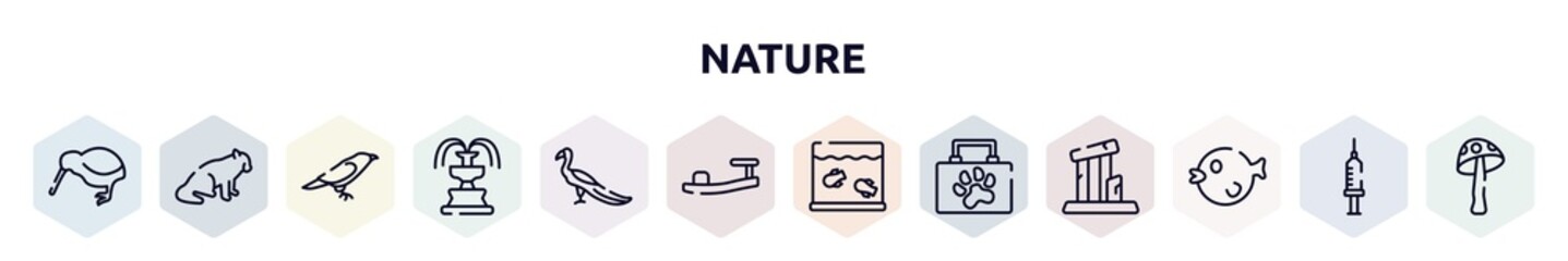 nature outline icons set. thin line icons such as kiwi, red panda, crow, fountain, peacock, sandals, aquarium, animal aid, puffer fish icon.
