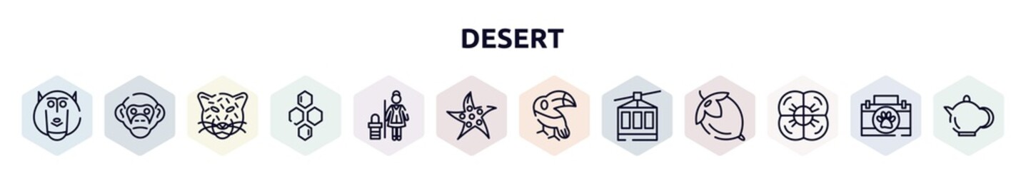 desert outline icons set. thin line icons such as baboon, chimpanzee, jaguar, hive, cleaner, starfish, toucan, cable car, poppy icon.